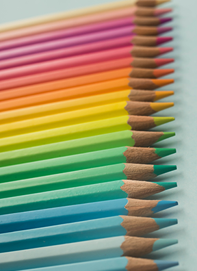 Image: a row of colored pencils to illustrate business organization.
